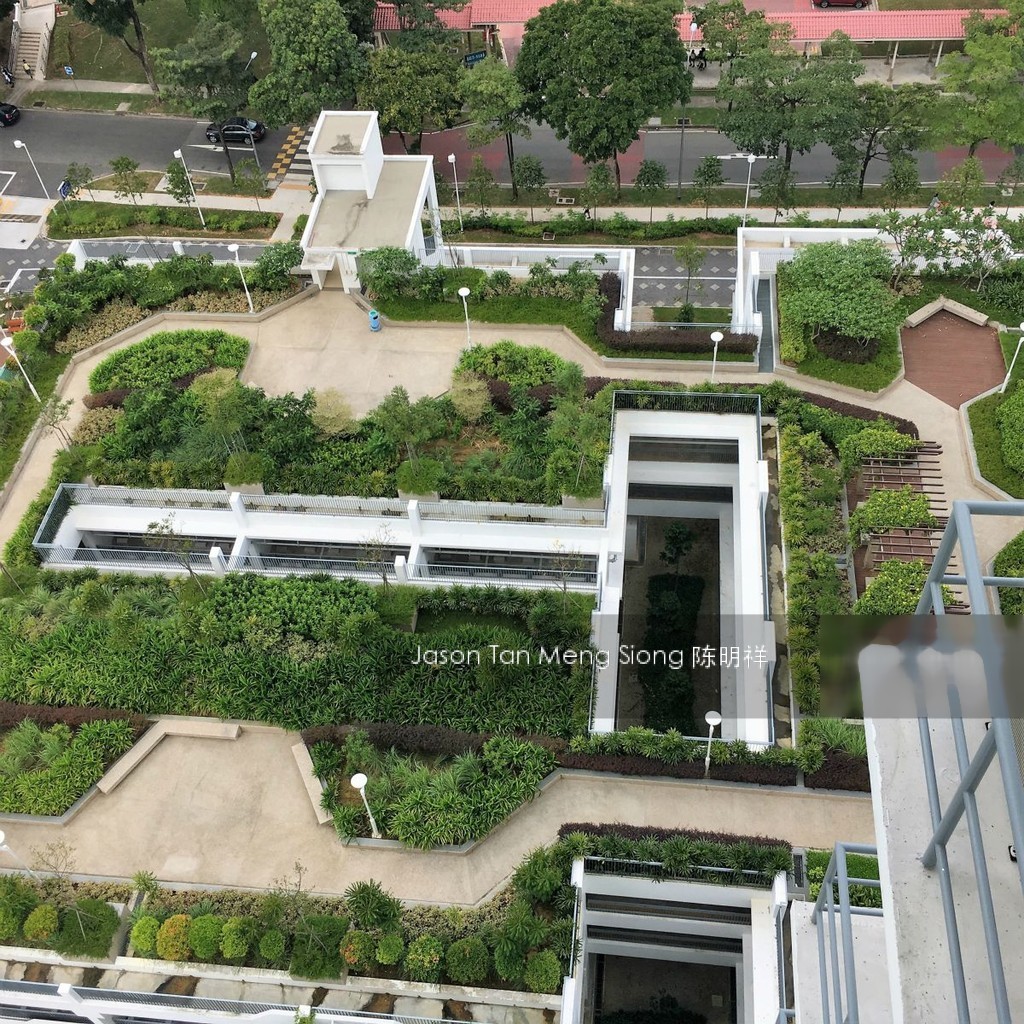 Blk 70C Telok Blangah Heights (Bukit Merah), HDB 4 Rooms #138148512